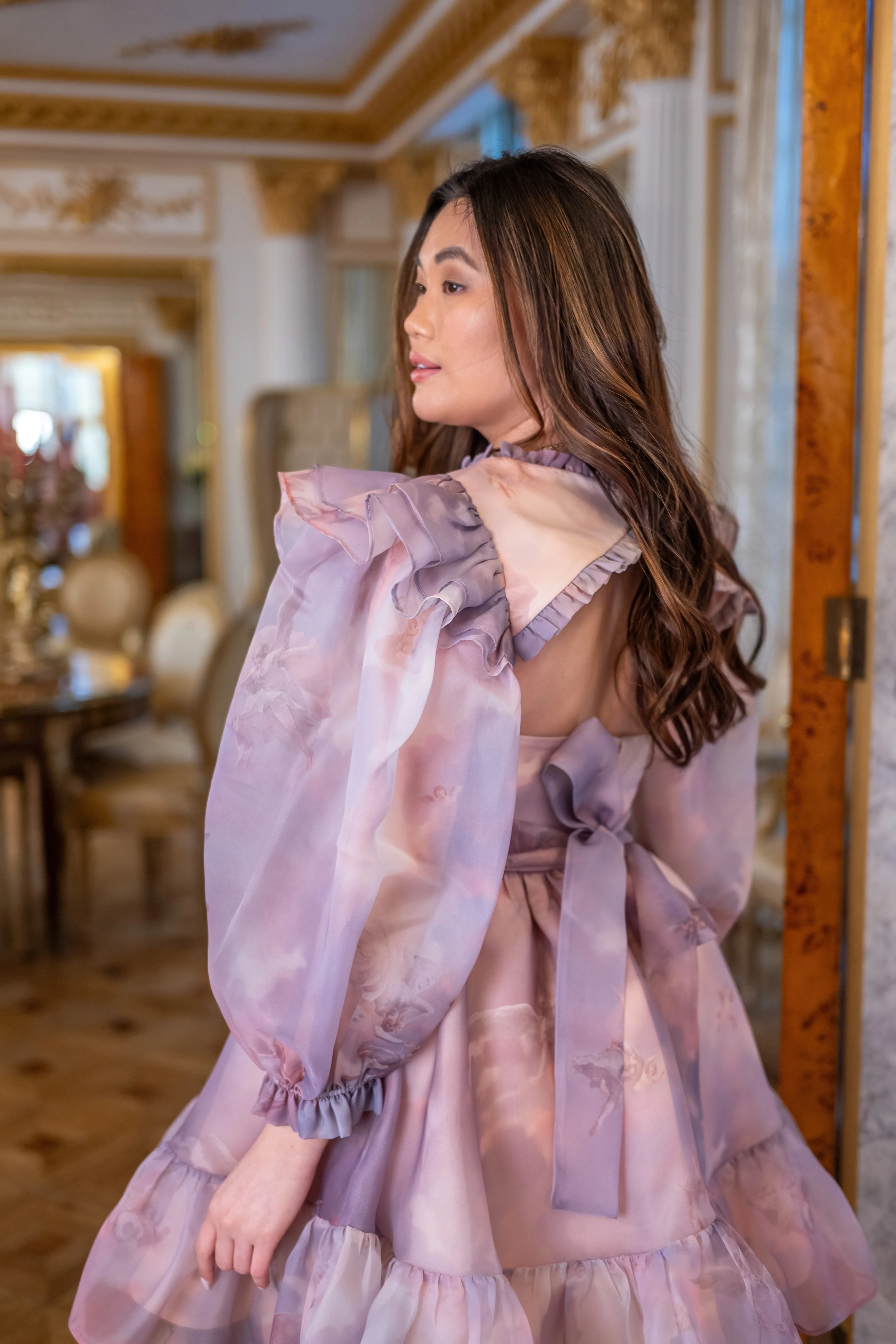 Cathedral Clouds Florentine Dress - Image 3