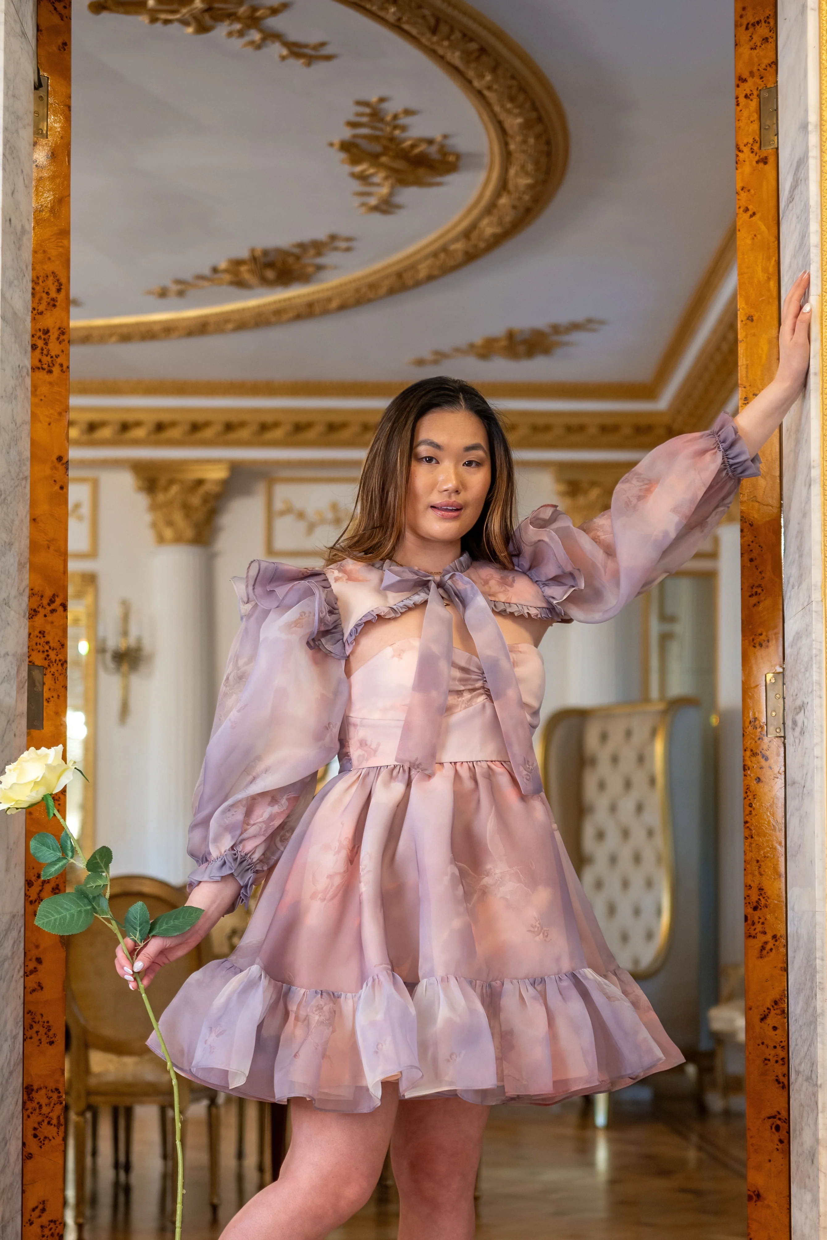 Cathedral Clouds Florentine Dress - Image 4