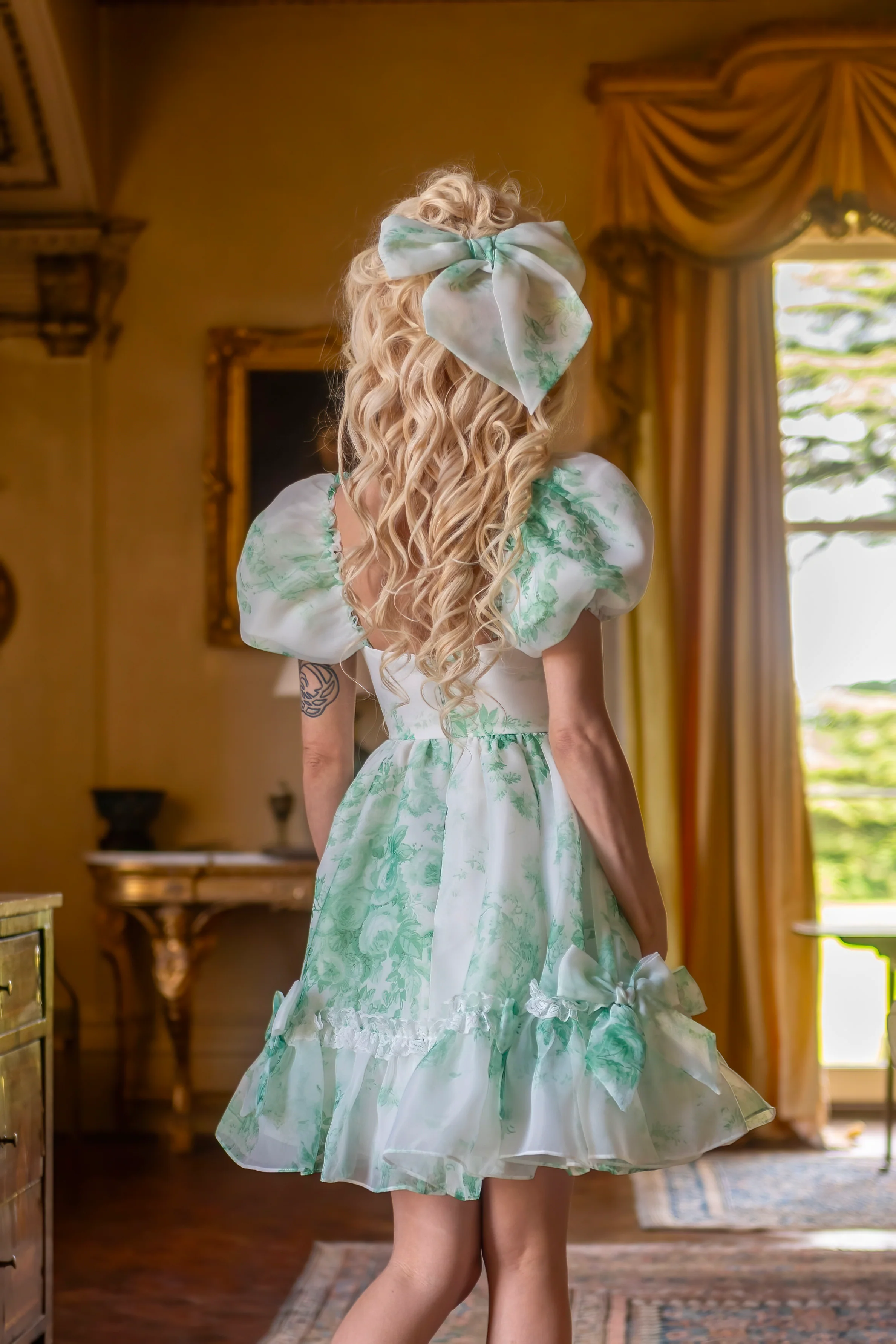 Lawn Party Beau Dress - Image 14