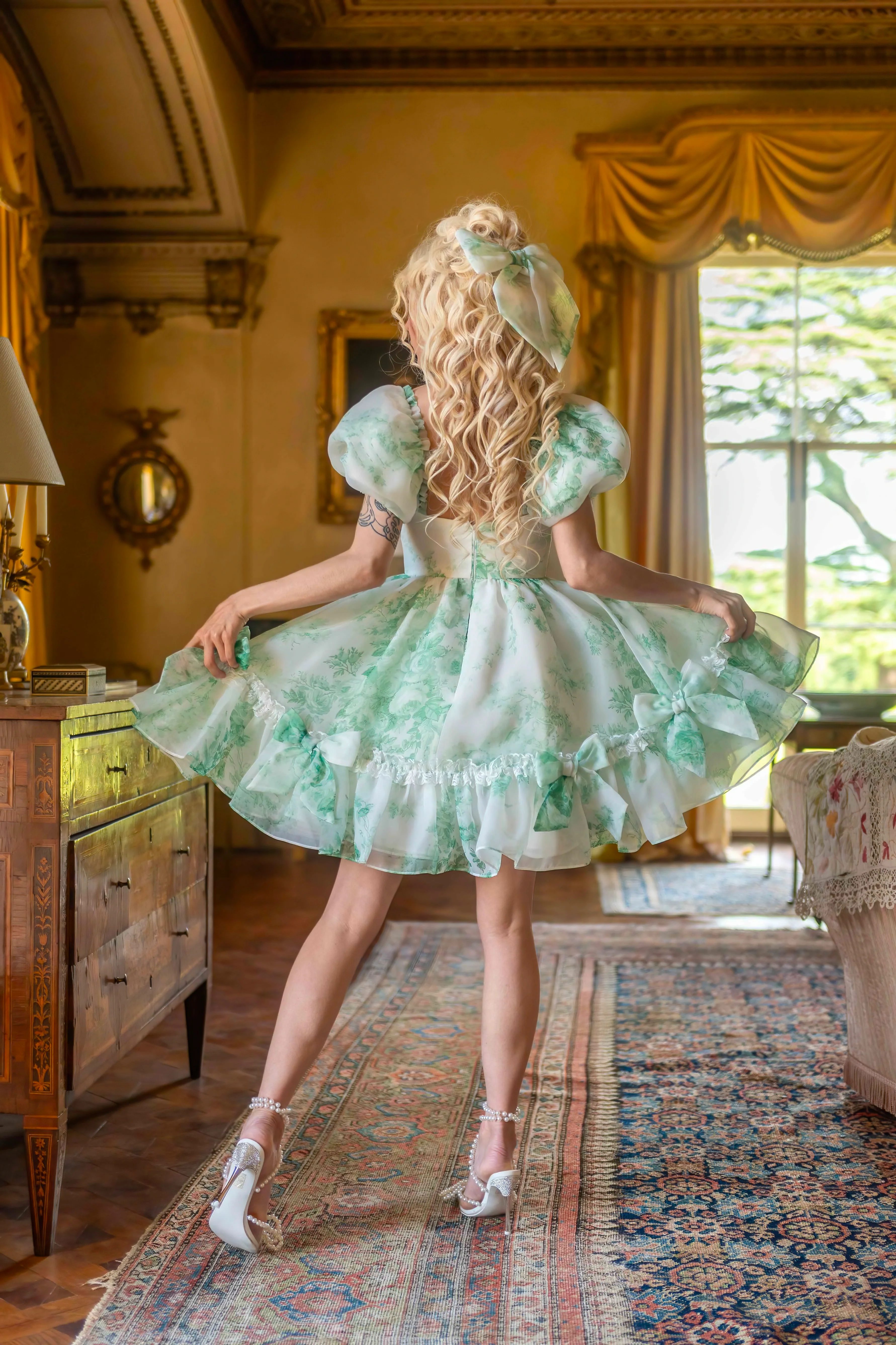 Lawn Party Beau Dress - Image 4