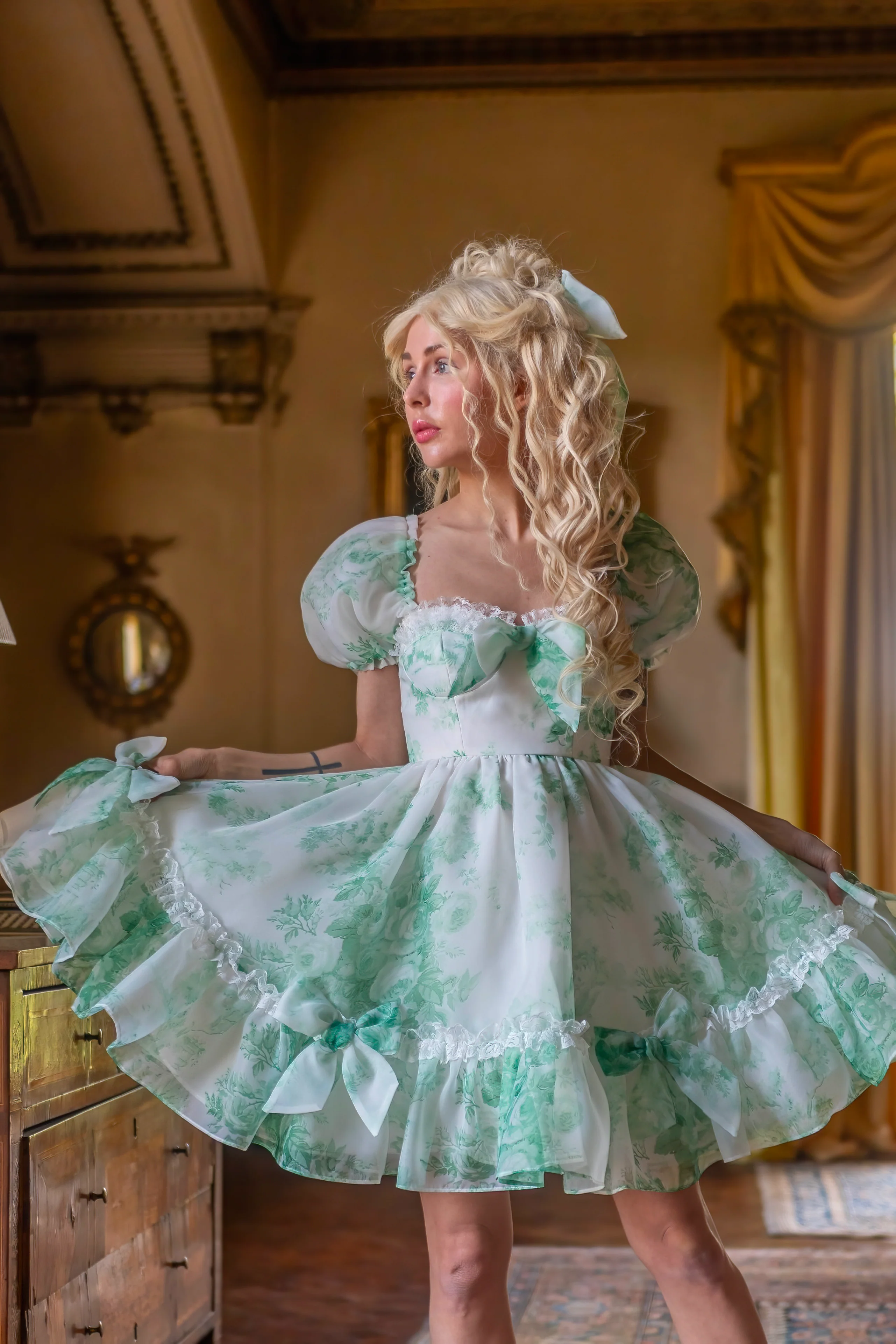 Lawn Party Beau Dress - Image 7