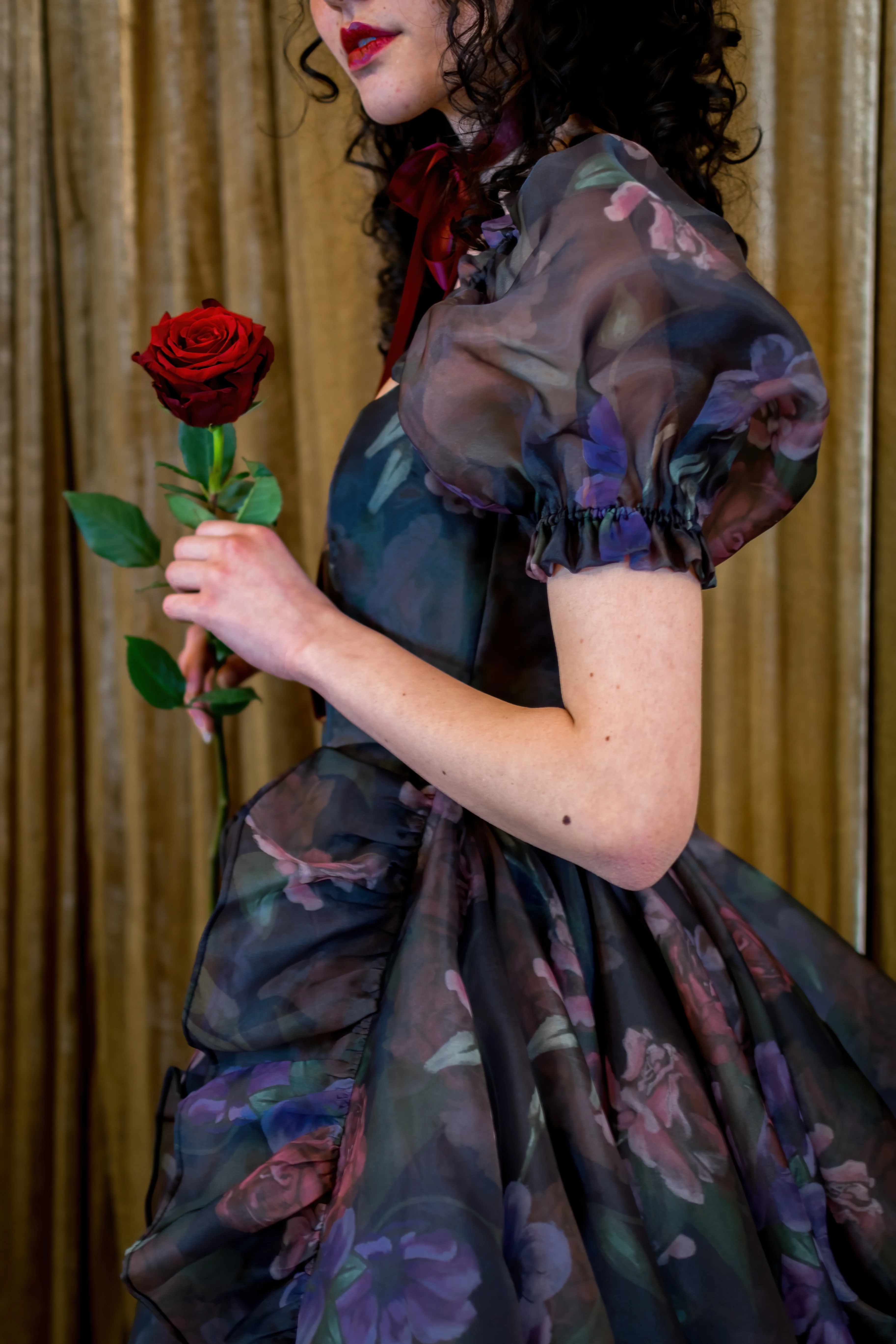 Odile's Triumph Chateau Train Gown - Image 9